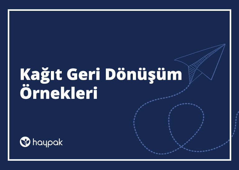 Kağıt Geri Dönüşüm Örnekleri